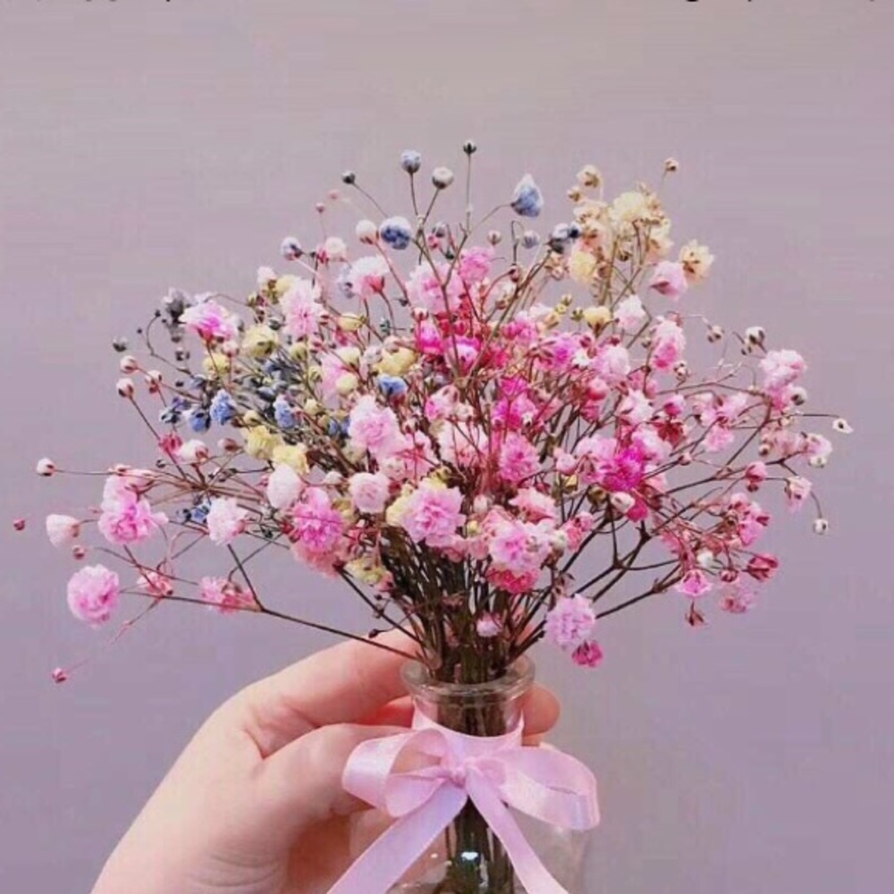 Meet your Posher, Helen